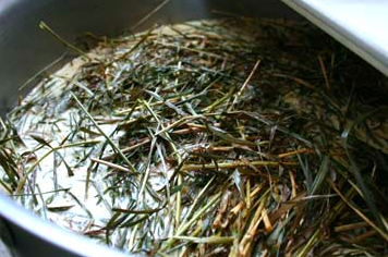 Hay: Don’t Knock It ’til You’ve Tried It