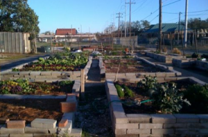 Hollygrove Market and Farm