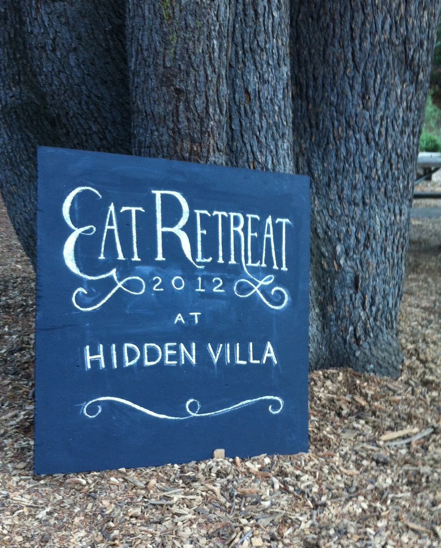 Eat Retreat: Overnight Camp for Food Lovers