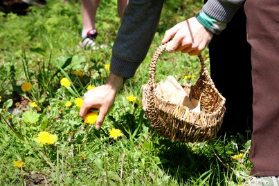 Eating Wild: Rediscovering Our Taste for Unprocessed Food